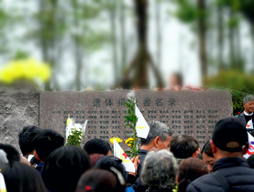 5ca2c2a9c4437.png 5ca2c2a9c4437.png